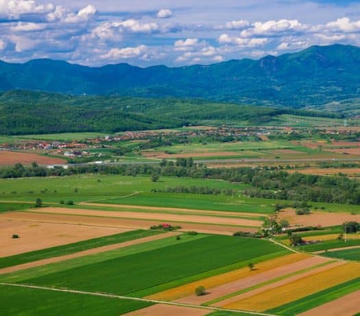 Agriculture en Roumanie