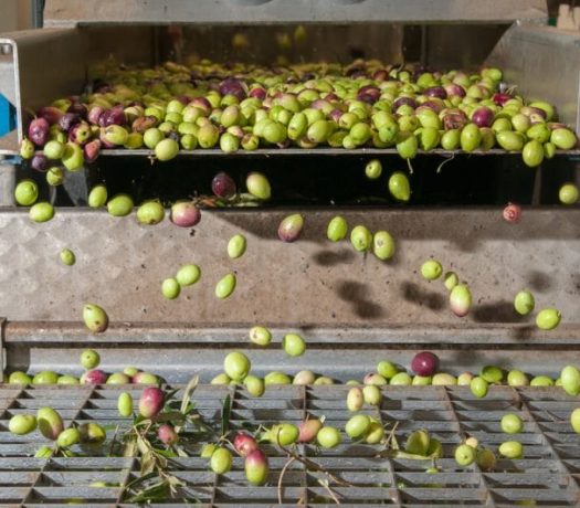 Fabrique d'huile d'olives en Grèce