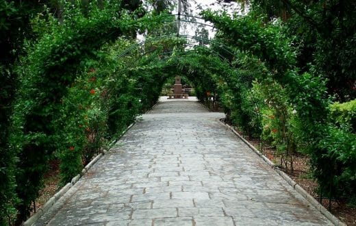 Les jardins Botaniques de San Anton