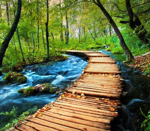 Le parc de Plitvice en Croatie