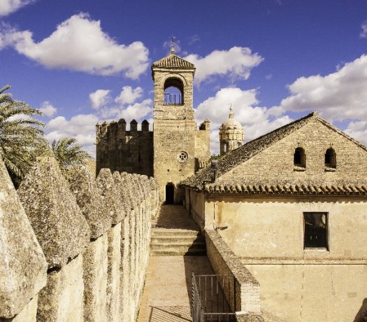 Real Alcazar - cour intérieure - Séville