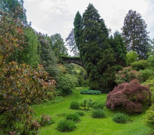 Les Plantes acidophiles de la Flor-Coop, proche du lac Majeur