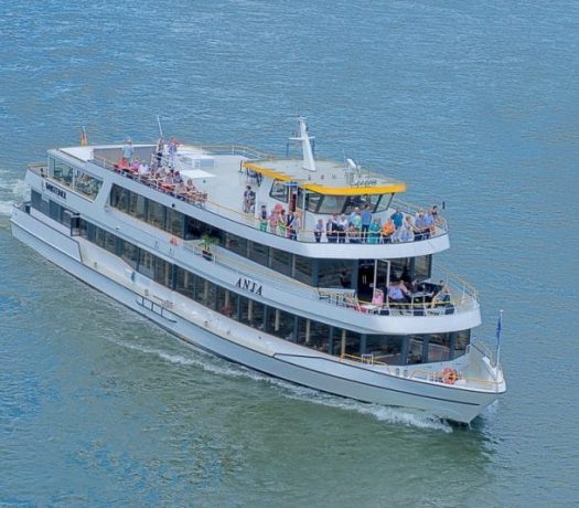 Bateau de croisière sur le Rhin