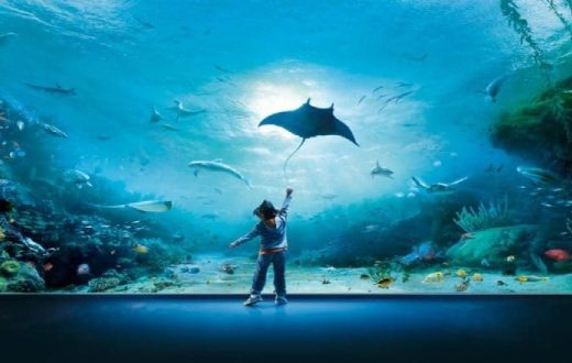 Aquarium de Gênes
