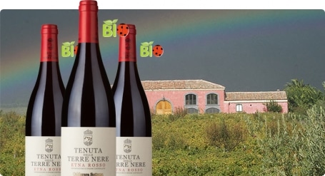 Tenuta delle Terre Nere (Sicile)