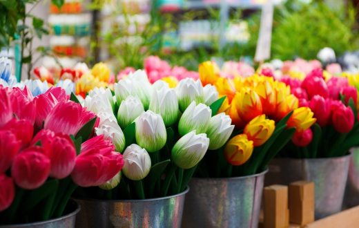 Le marché aux fleurs (Bloemenmarkt)