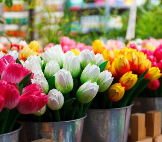 Des tulipes à Bloemenmarkt, Amsterdam