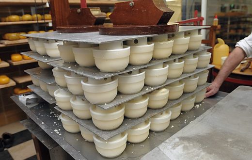 Atelier fabrication du fromage Gouda