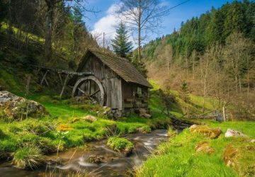 Forêt-Noire : agriculture et environnement