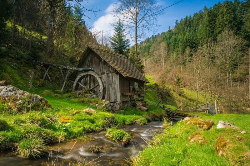 forêt noire allemagne