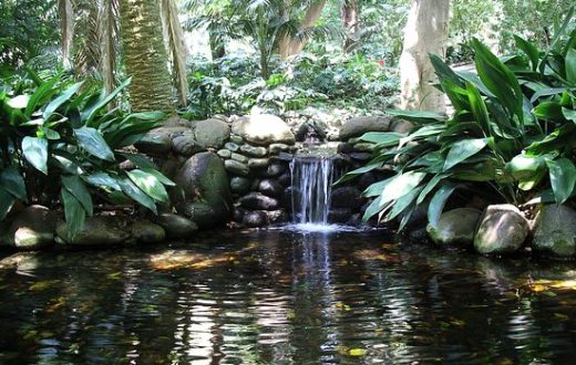 Jardin botanique Malaga