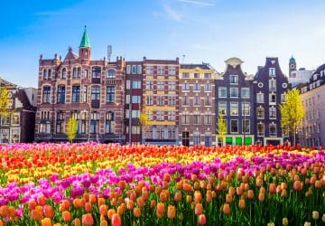Bruxelles, Rotterdam, Amsterdam en un seul voyage scolaire
