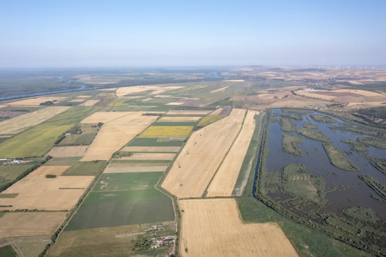 Agriculture et Terroir en Roumanie - Image
