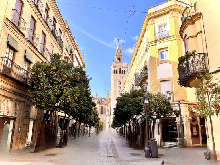 Derniers Instants et Retour - Image