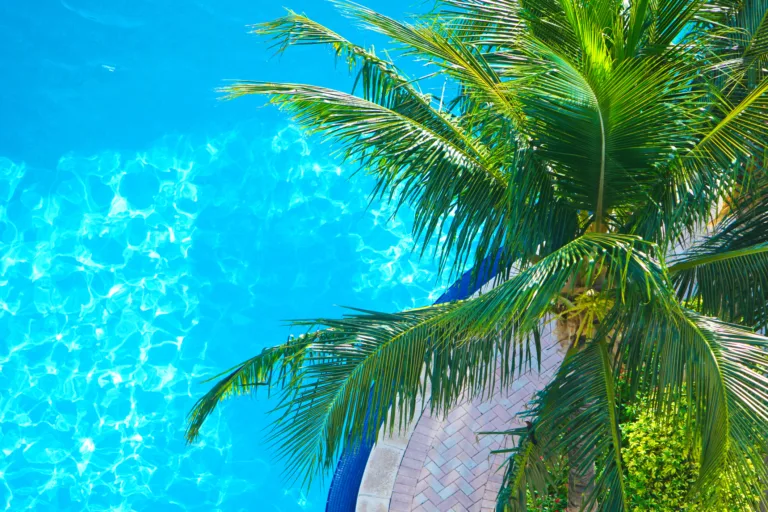 Les thermes de Bucarest - Image