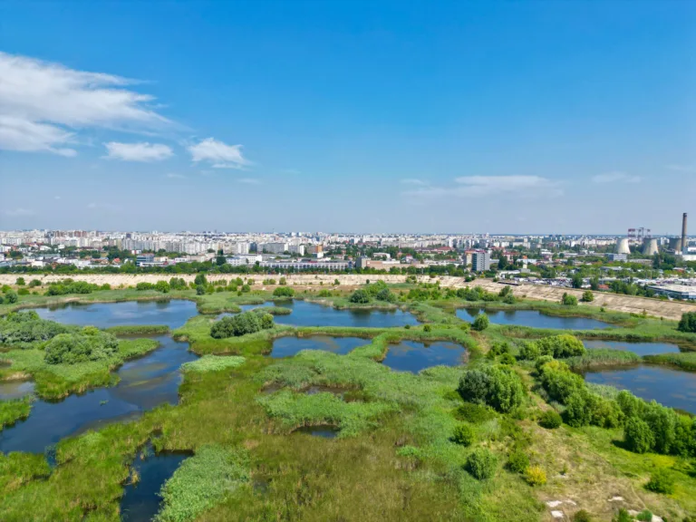Roumanie : Immersion Nature et Climat - Image