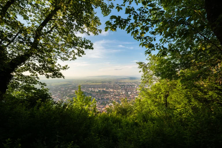 Séjour Erasmus en Transylvanie : Culture et Échanges - Image