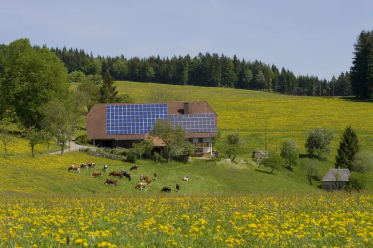 Agriculture biologique - Image