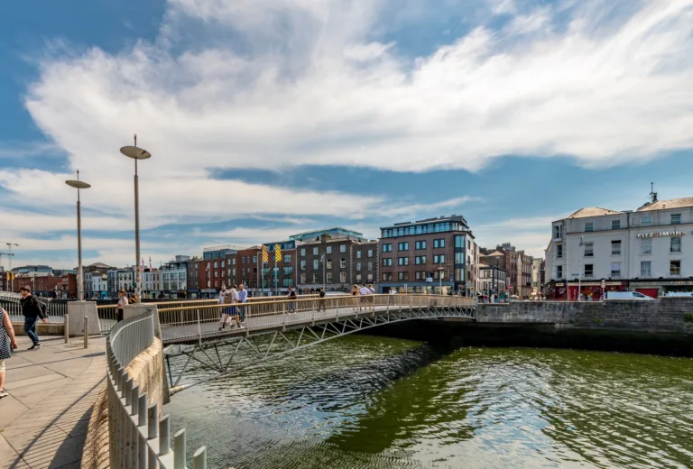 L’héritage Viking à Dublin - Image
